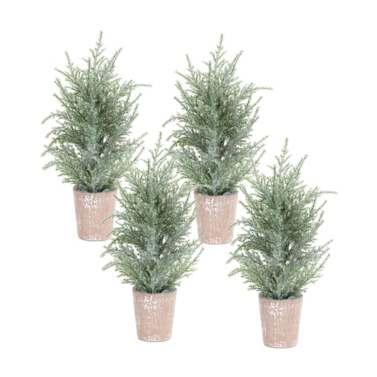 Frosted Holiday Pine Tree in Paper Pot (Set of 4)