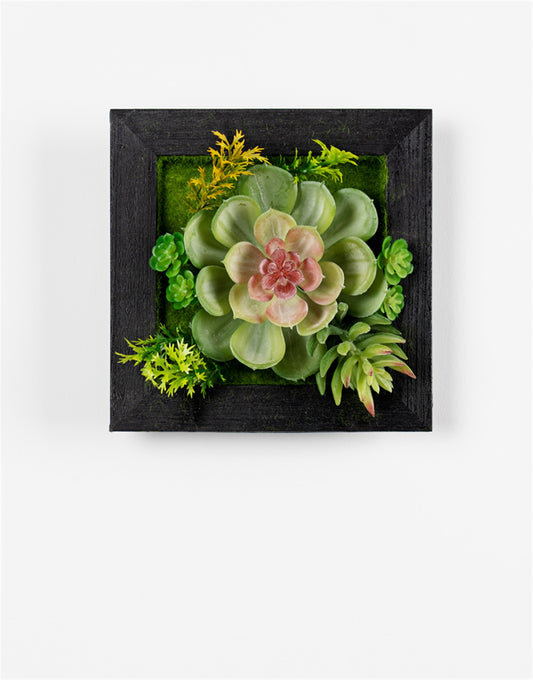 Hanging Succulent Wall Decor (Set of 6) Plastic