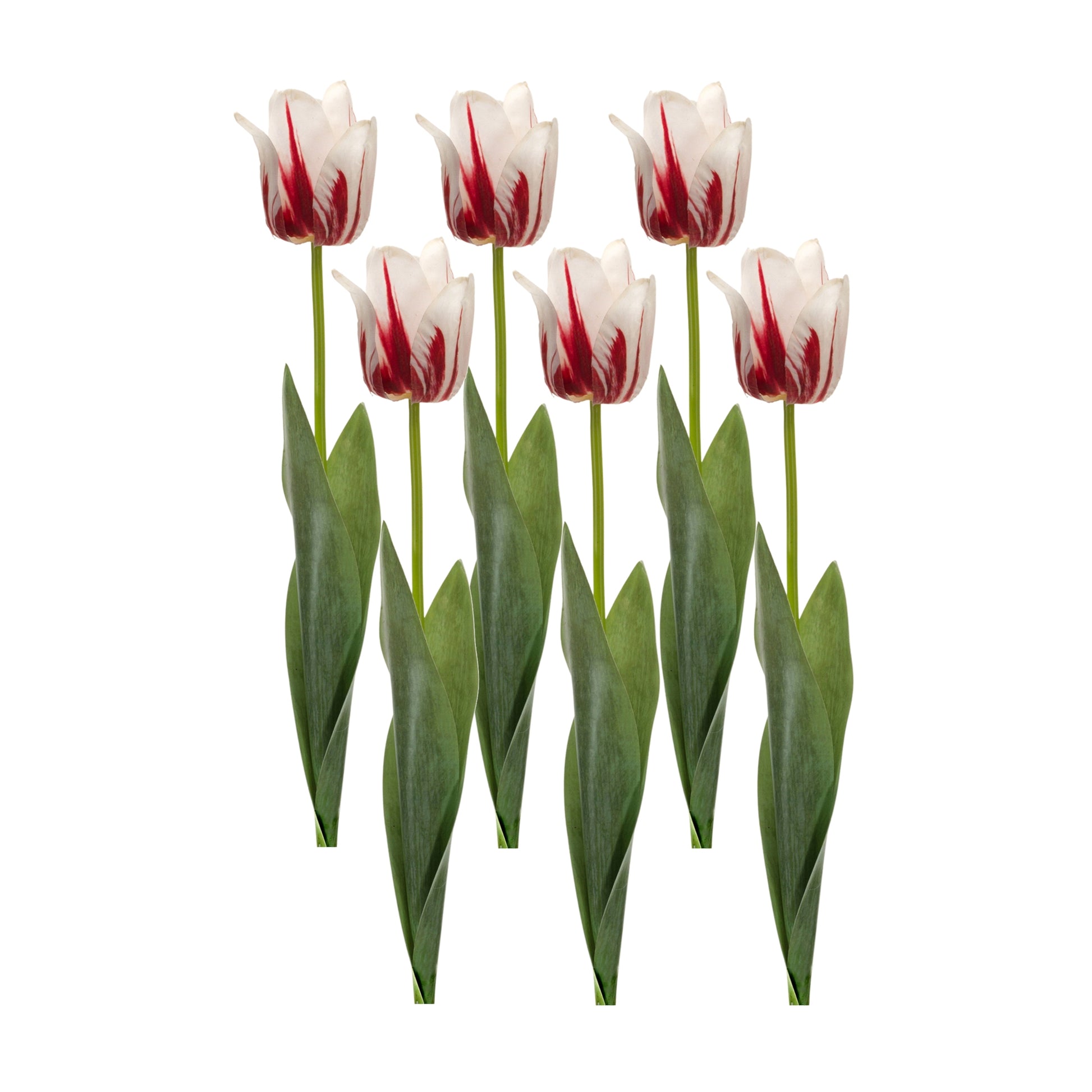 Tulip Stem (Set of 6) 27"H Polyester/Plastic