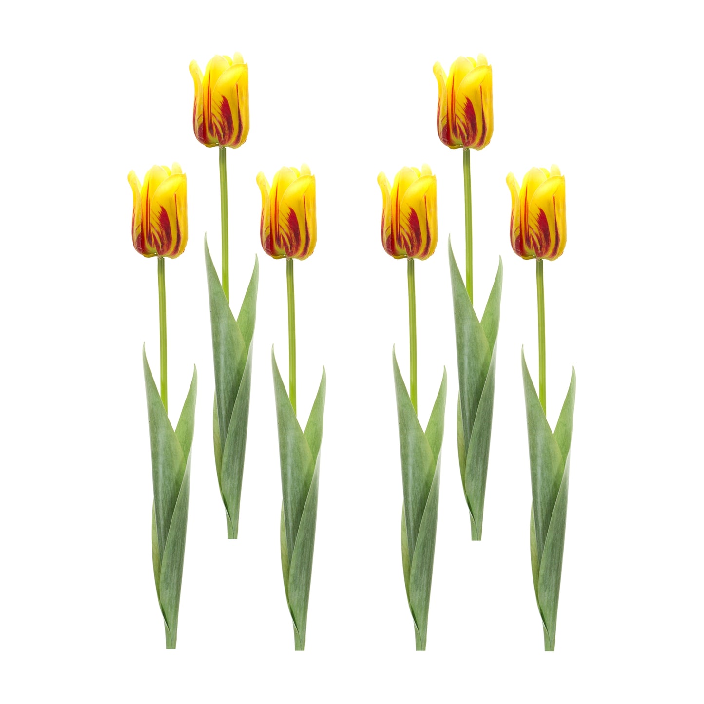 Tulip Stem (Set of 6) 27"H Polyester/Plastic