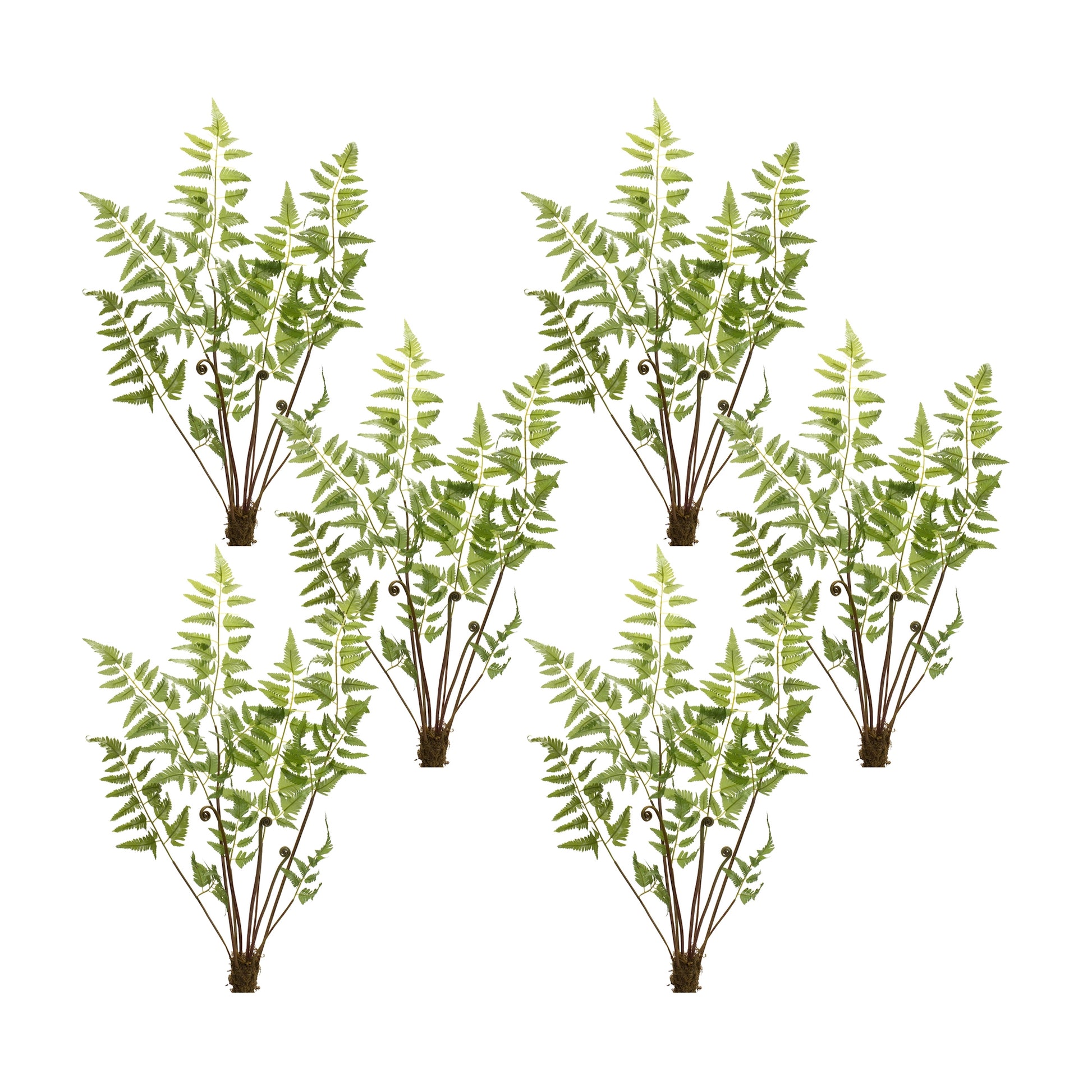 Fern Bundle (Set of 6) 37"H Polyester